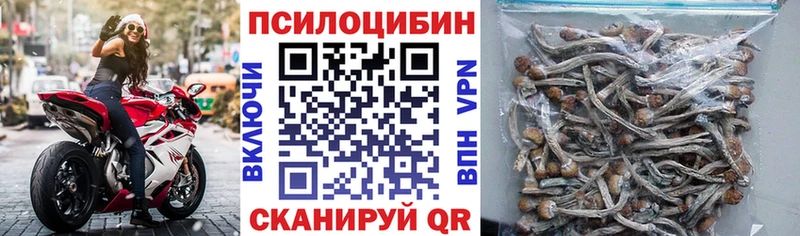 Псилоцибиновые грибы Psilocybe  купить наркоту  Раменское 